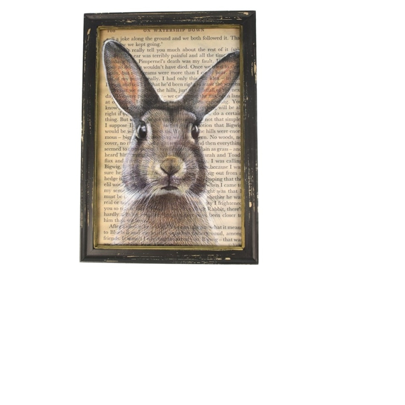 zwart lijstje van hout met Haas